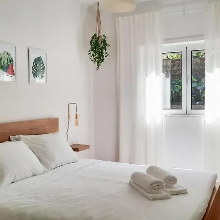 Lovely 2-Bedroom Apartment - Near Braga City Center! Exterior foto